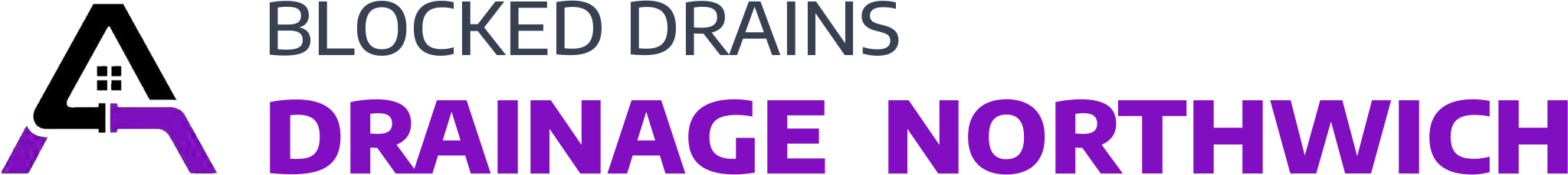 website logo